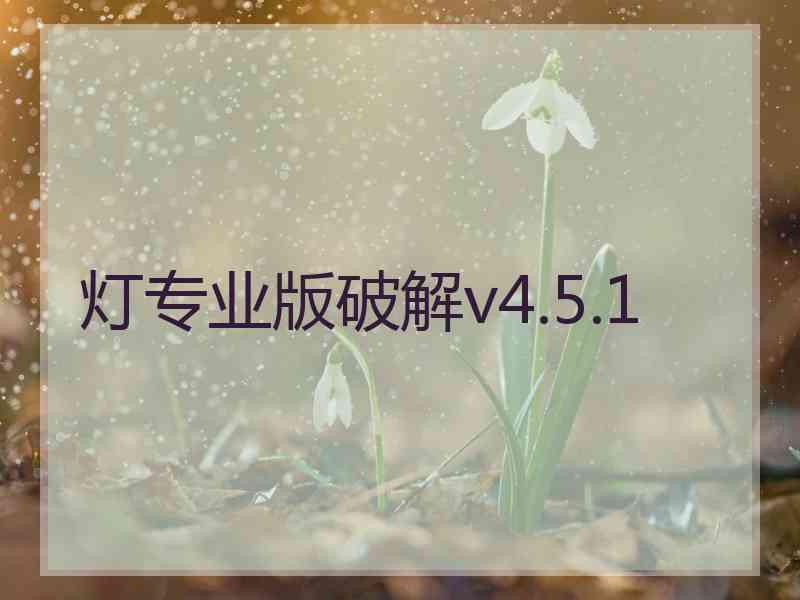 灯专业版破解v4.5.1