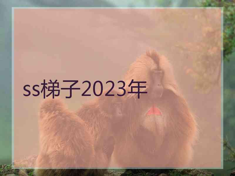 ss梯子2023年