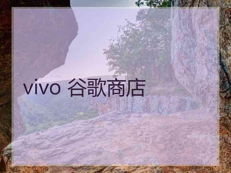 vivo 谷歌商店