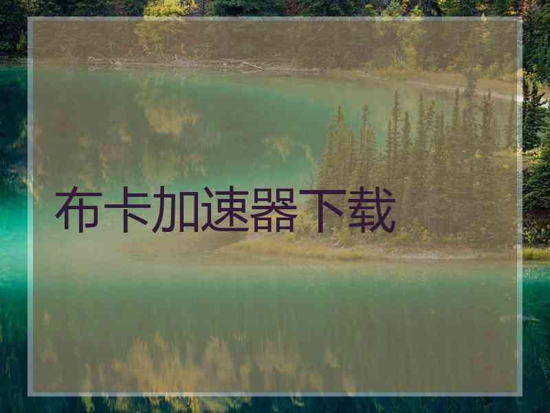 布卡加速器下载