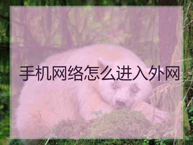 手机网络怎么进入外网