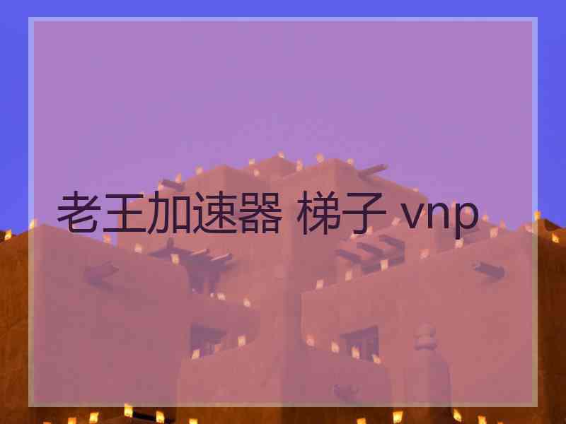 老王加速器 梯子 vnp