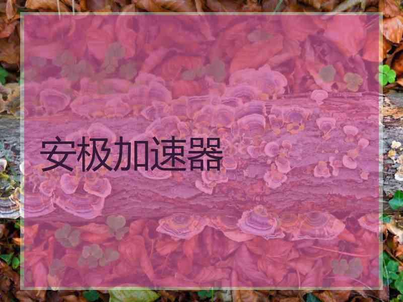 安极加速器