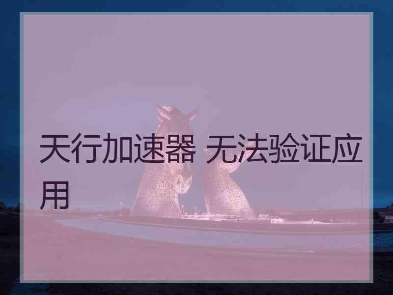 天行加速器 无法验证应用