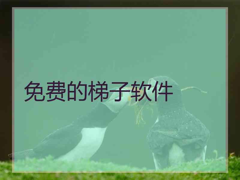 免费的梯子软件