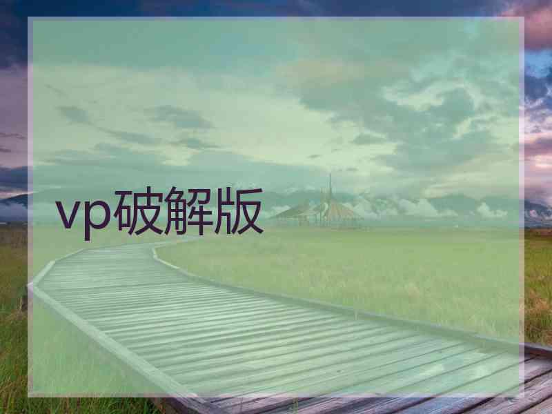 vp破解版