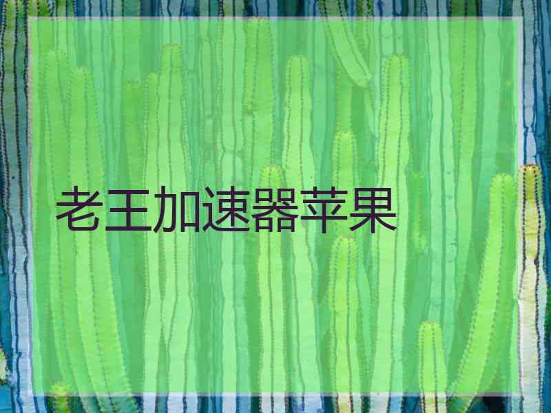 老王加速器苹果