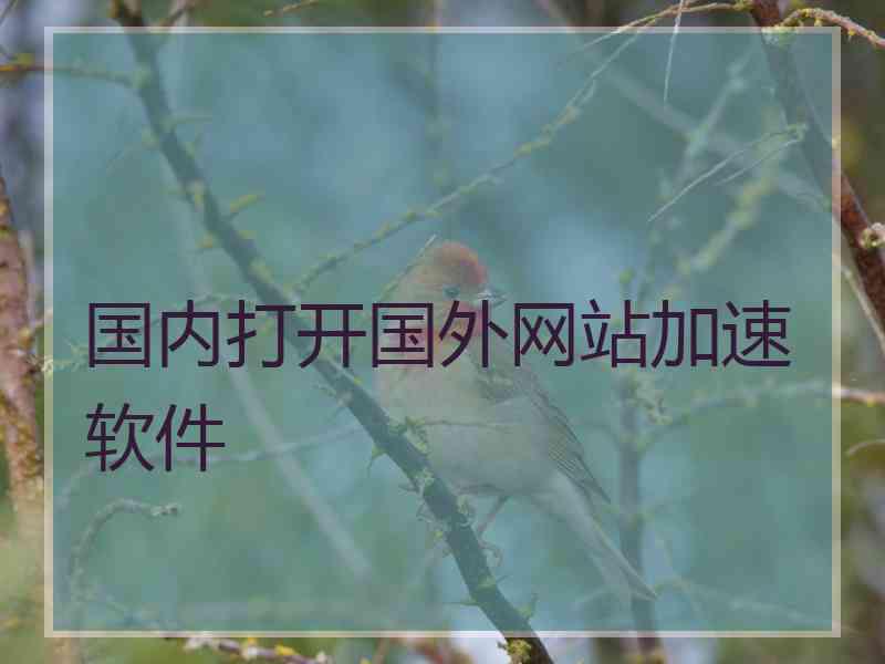 国内打开国外网站加速软件