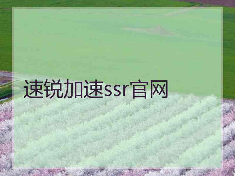 速锐加速ssr官网
