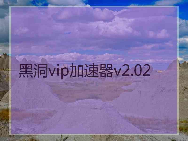 黑洞vip加速器v2.02
