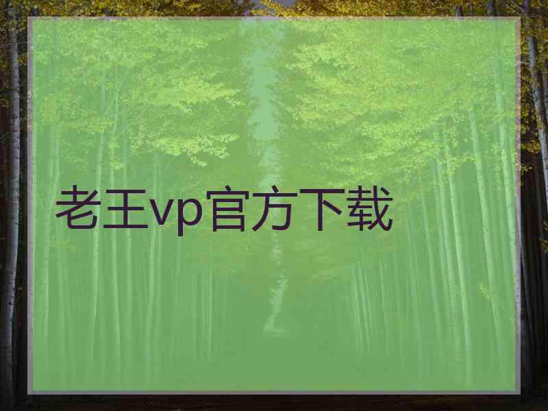 老王vp官方下载
