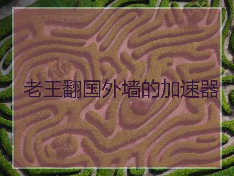 老王翻国外墙的加速器