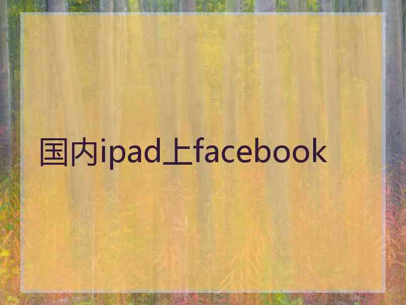国内ipad上facebook