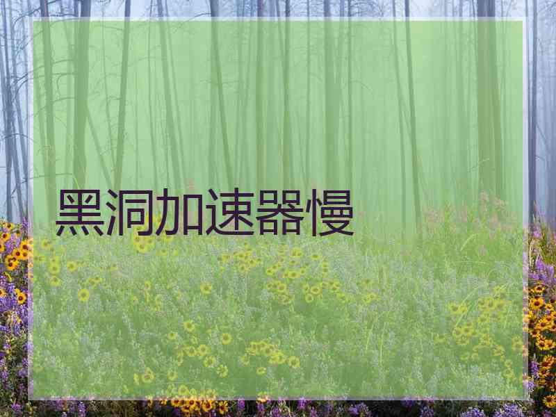 黑洞加速器慢