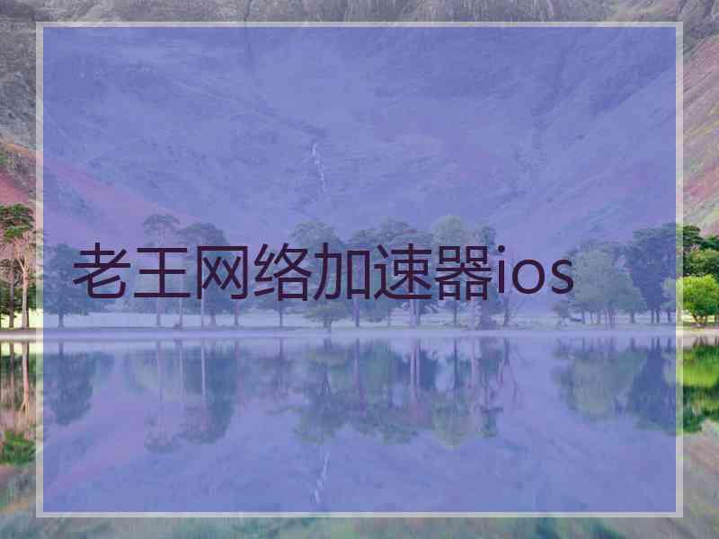 老王网络加速器ios