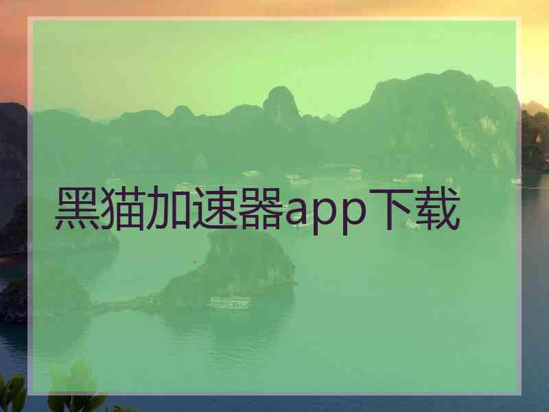 黑猫加速器app下载