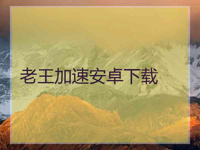 老王加速安卓下载