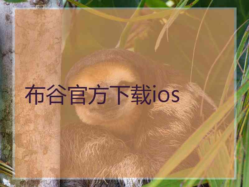 布谷官方下载ios