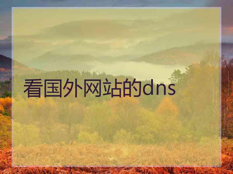 看国外网站的dns