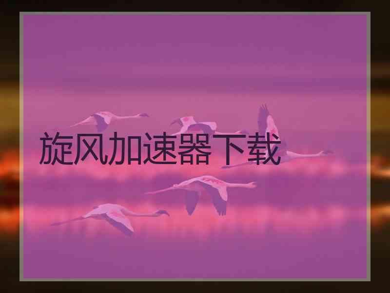 旋风加速器下载