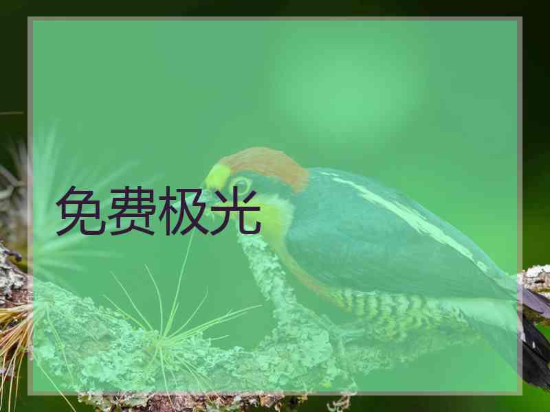 免费极光