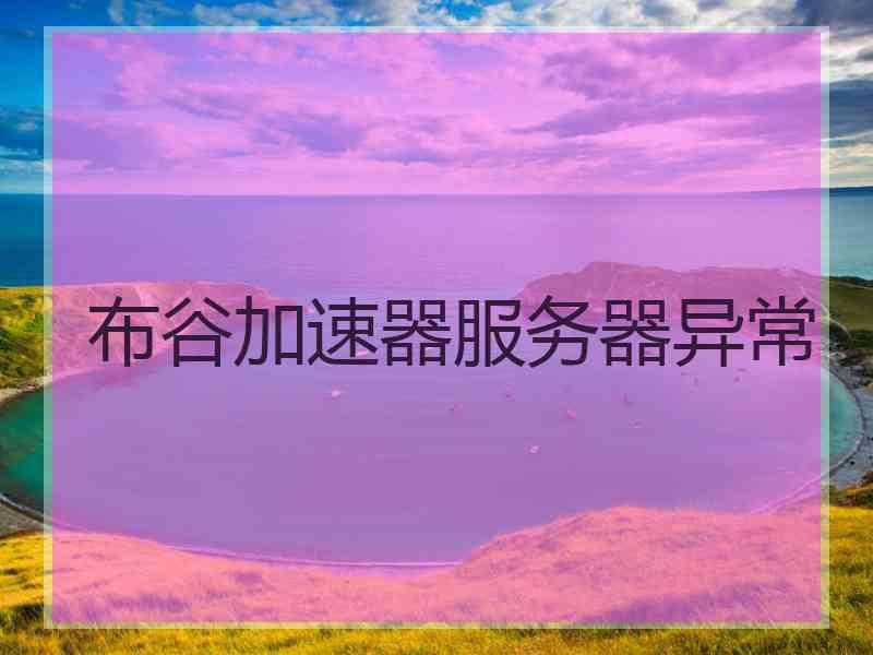布谷加速器服务器异常