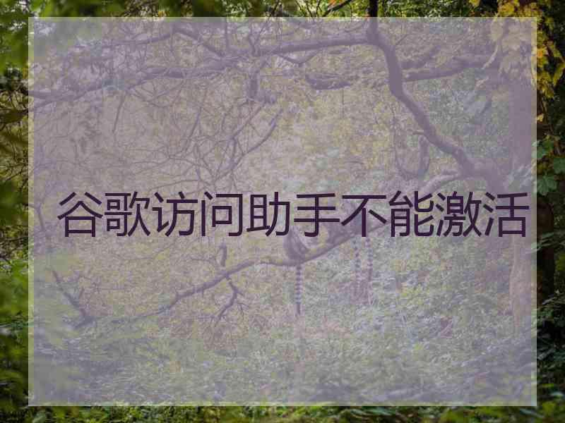谷歌访问助手不能激活