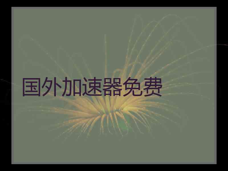 国外加速器免费