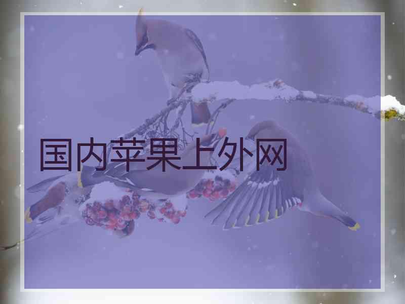 国内苹果上外网