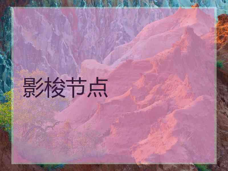 影梭节点