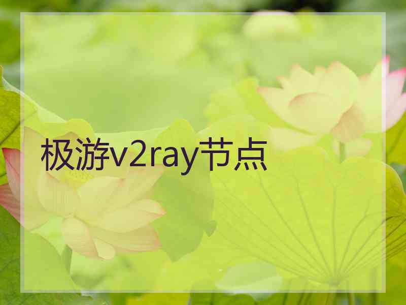 极游v2ray节点
