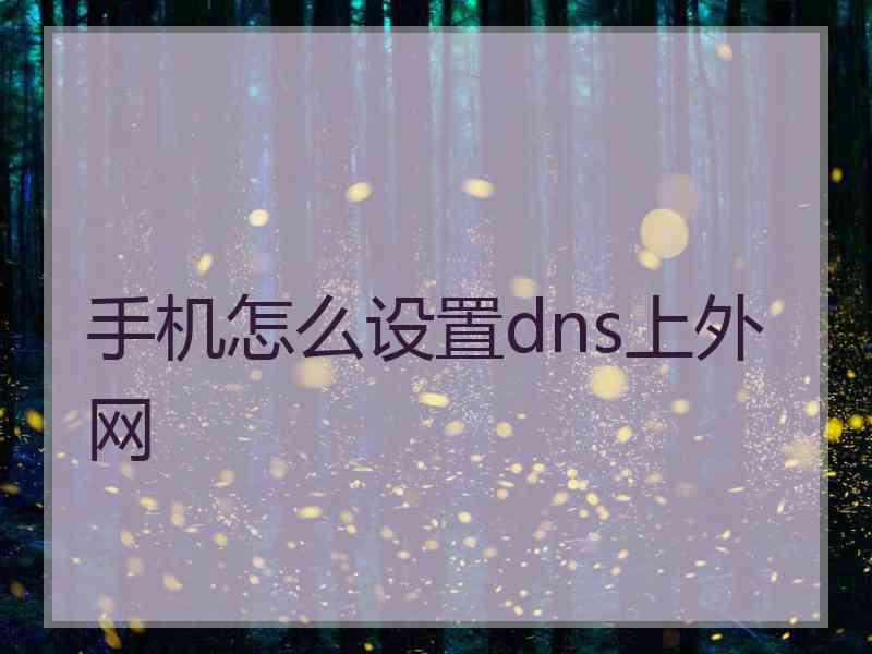 手机怎么设置dns上外网