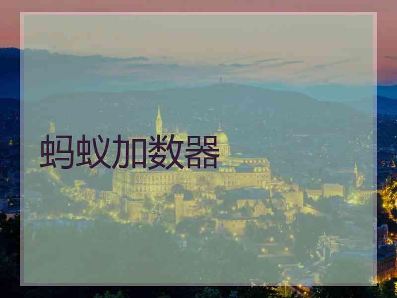 蚂蚁加数器