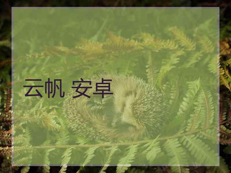 云帆 安卓
