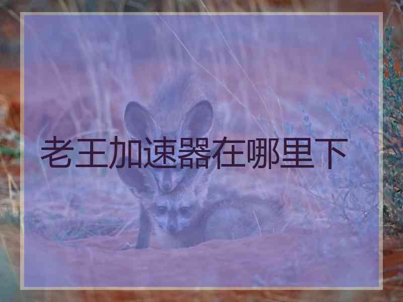 老王加速器在哪里下