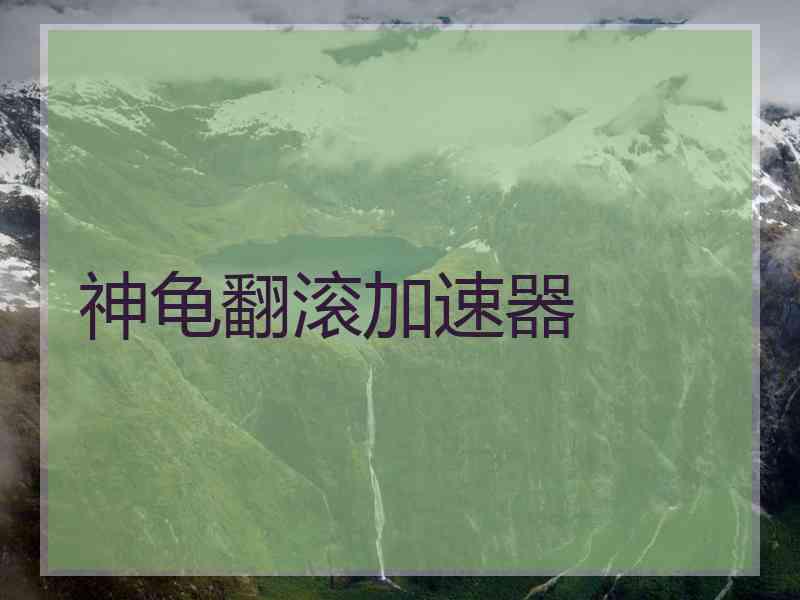 神龟翻滚加速器