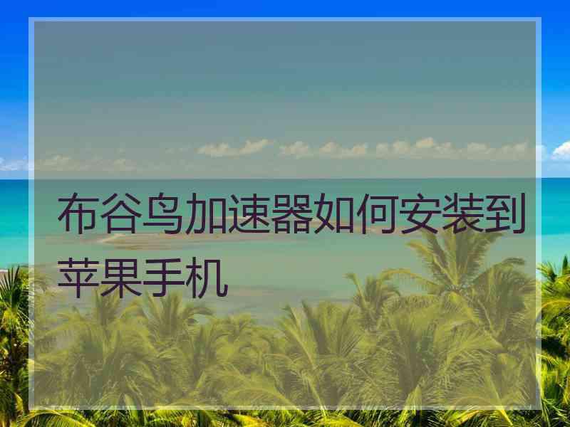 布谷鸟加速器如何安装到苹果手机