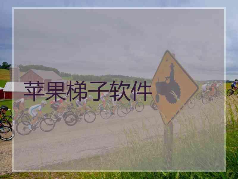 苹果梯子软件