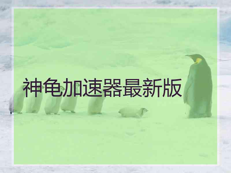神龟加速器最新版