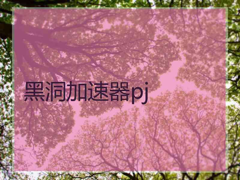 黑洞加速器pj