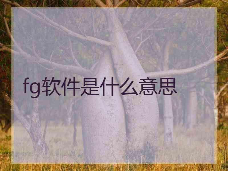 fg软件是什么意思