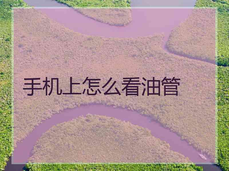 手机上怎么看油管