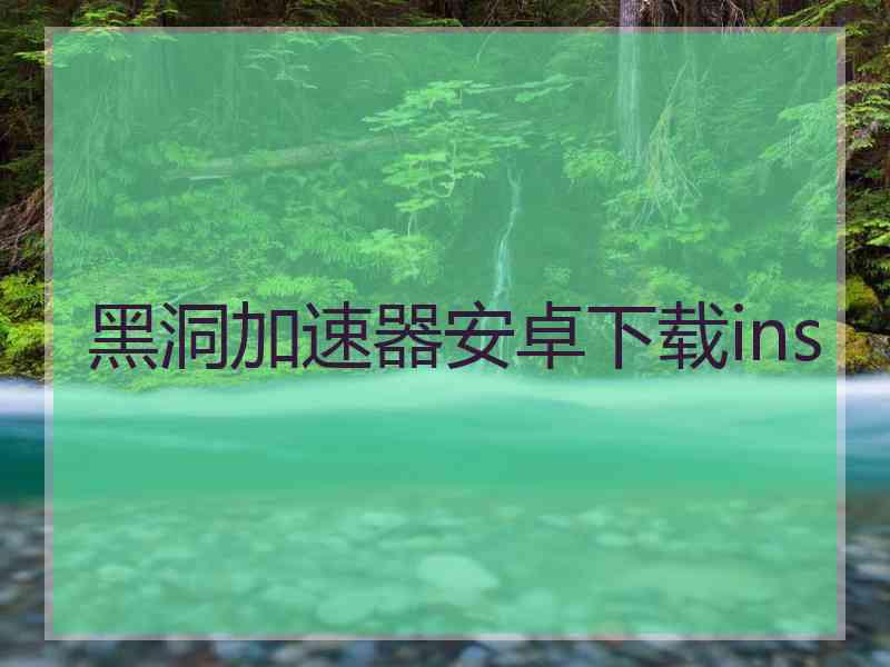 黑洞加速器安卓下载ins