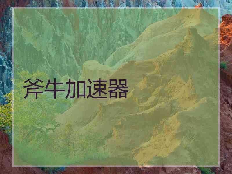 斧牛加速器