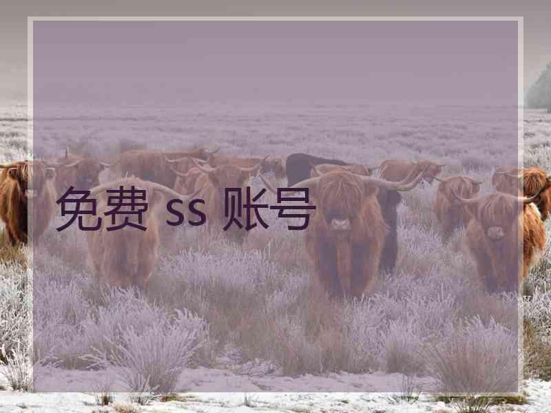 免费 ss 账号