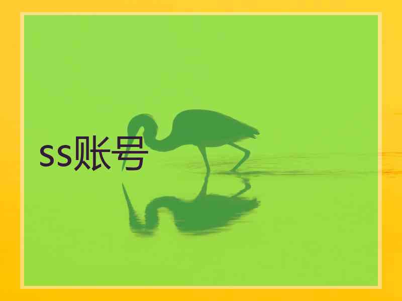 ss账号