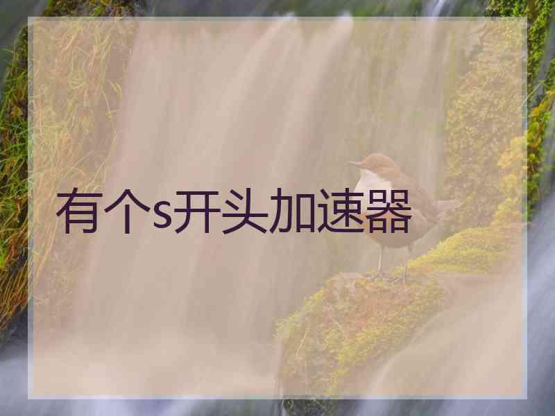 有个s开头加速器