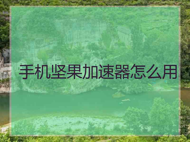 手机坚果加速器怎么用