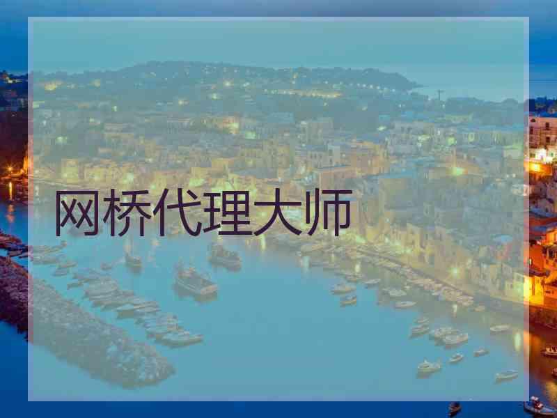 网桥代理大师