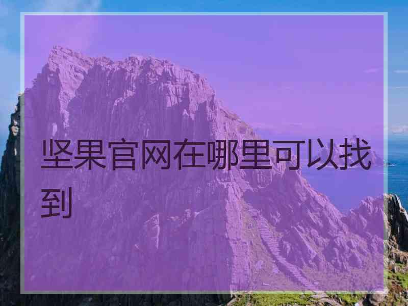 坚果官网在哪里可以找到